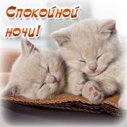 красивые открытки спокойной ночи