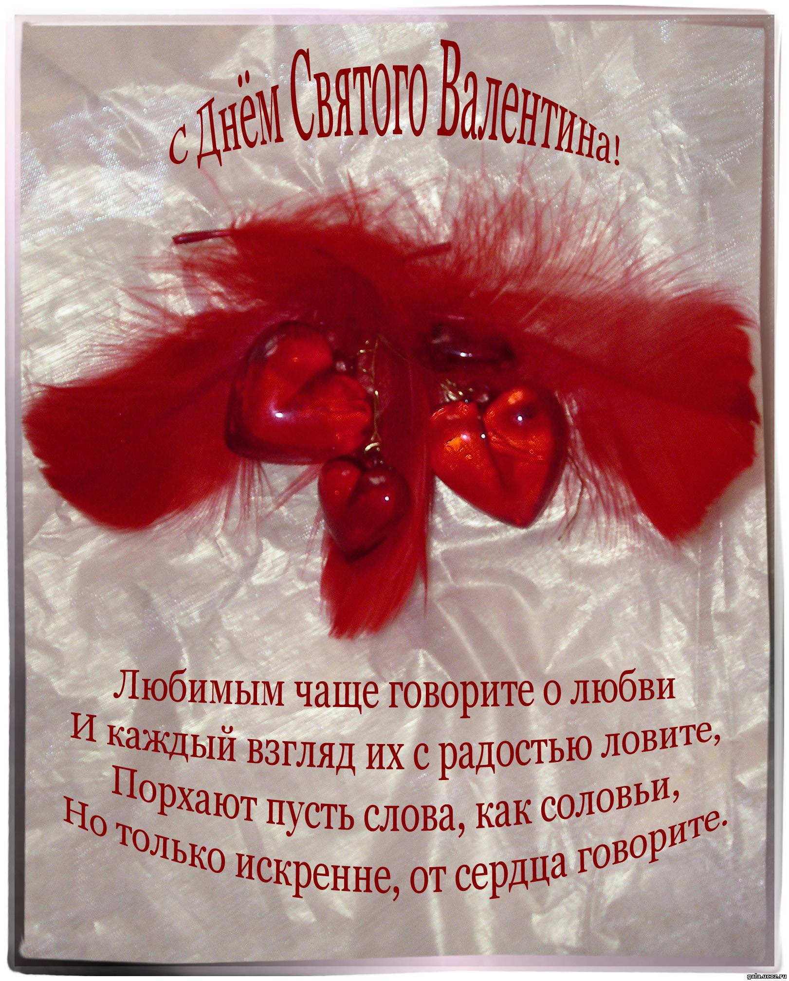 поздравления с днем влюбленных на открытке