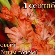 с новым учебным годом открытка