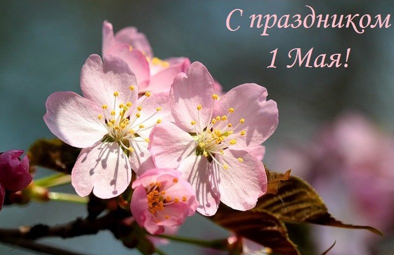 с праздником 1 мая открытка картинка