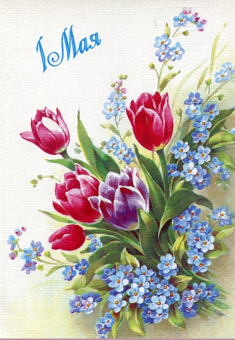 праздник весны и труда открытка картинка