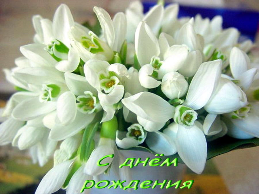 цветы открытка с днем рождения