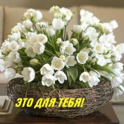 цветы открытка с днем рождения фото
