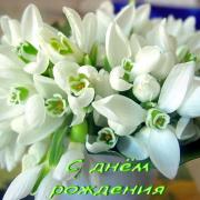 цветы открытка с днем рождения