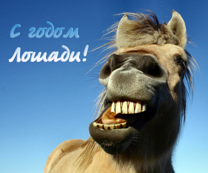 нарисованная лошадь открытка