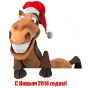 красивая лошадь открытка 2014