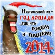 открытка пара лошадей